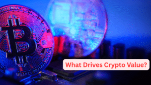 What Drives Crypto Value?